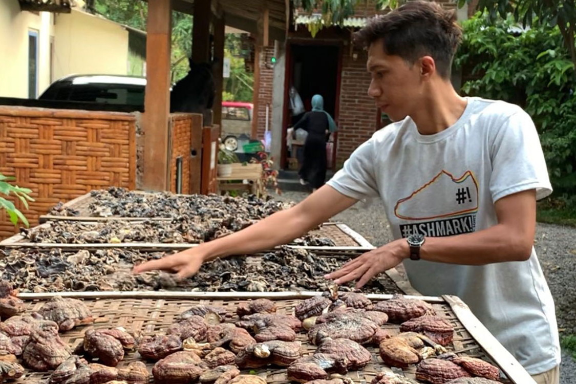 2-Petani-jamur