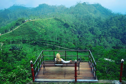 Kebun-Teh-Nglinggo-by-wahyu_sa