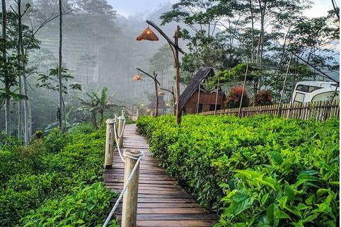 Outbound-Nglinggo