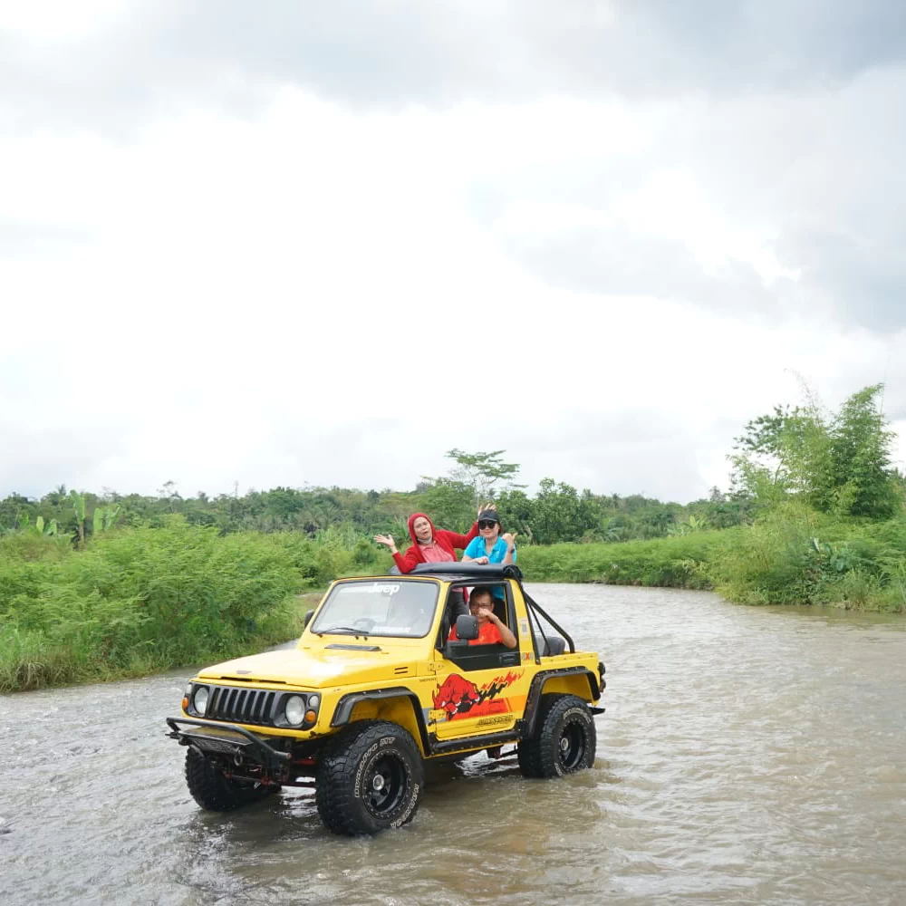jeep (80)