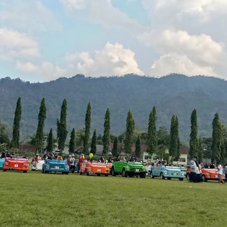 vwmed (5)