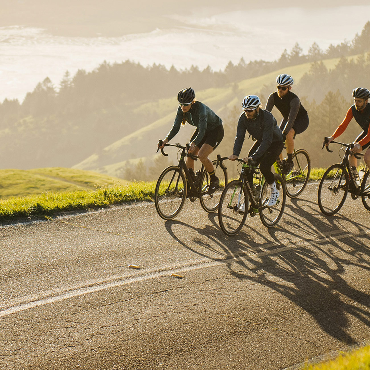 Best-Beginner-Road-Bikes-gear-patrol-full-lead